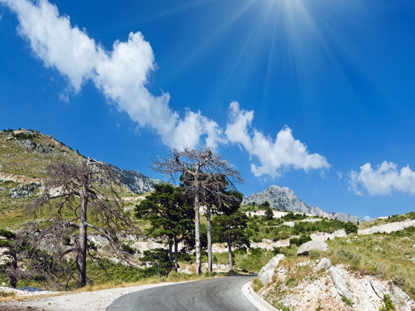 Llogara Pass Road Trip Guide for German Nature Seekers